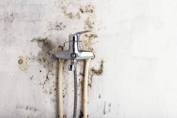 Best Mold Testing  in Millbrae, CA