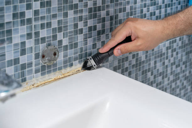 Best Home Mold Removal  in Millbrae, CA