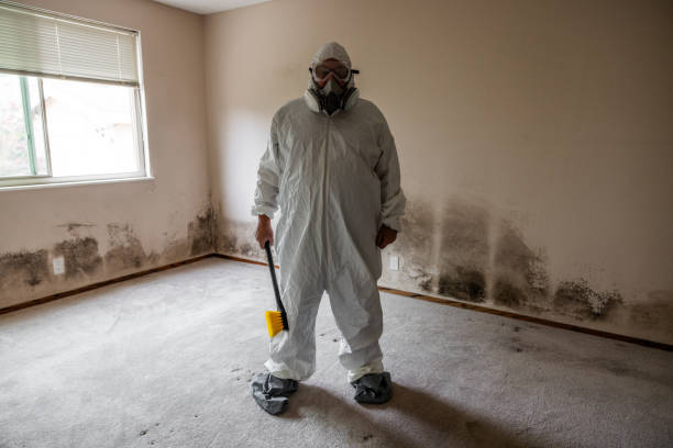 Best Crawl Space Mold Removal  in Millbrae, CA